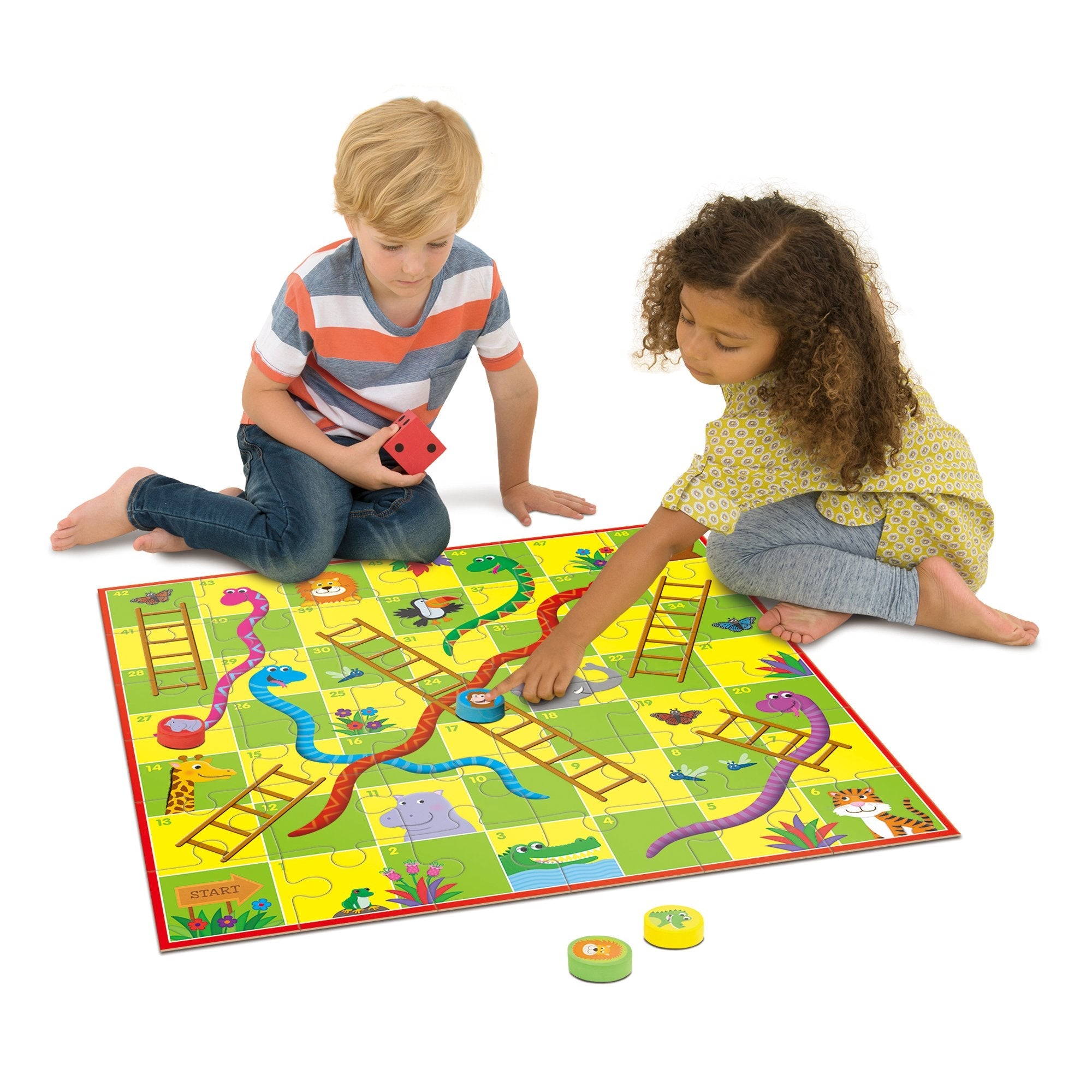 Giant Snakes and Ladders Puzzle